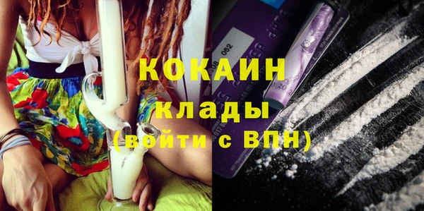 первитин Михайлов