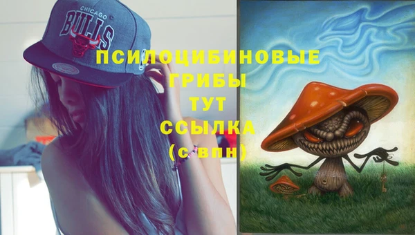 МДМА Медногорск