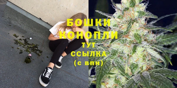 гидра Михайловск