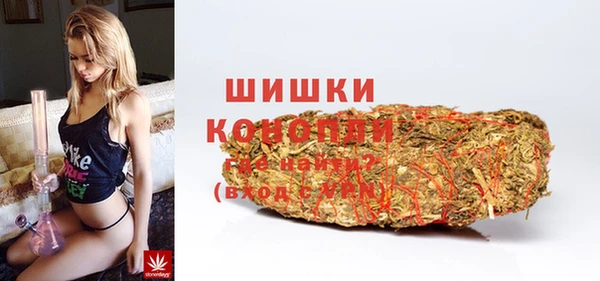 гидра Михайловск