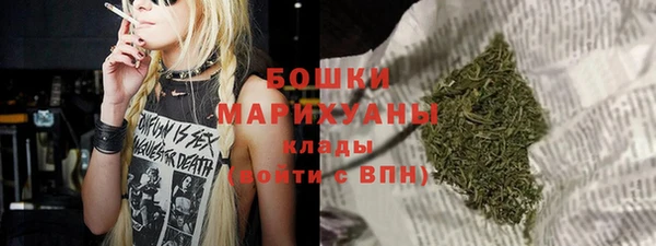 гидра Михайловск